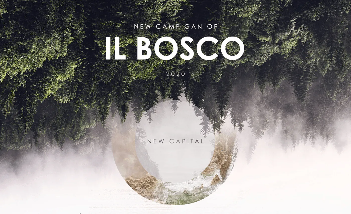 IL BOSCO - 1